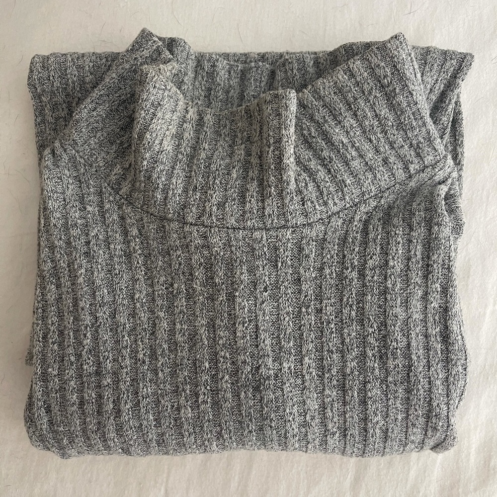 Aritzia Turtleneck